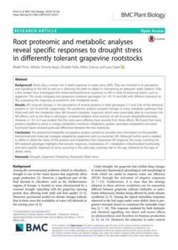 Prinsi et al., 2018. Root proteomic and metabolic analyses reveal specific responses to drought stress in differently tolerant grapevine rootstocks.