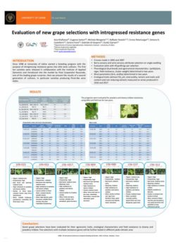 evaluation of new grape selections with introgressed resistance genres