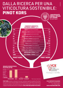 De la investigación a la viticultura sostenible