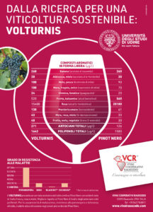 Dalla ricerca per una viticoltura sostenibile
