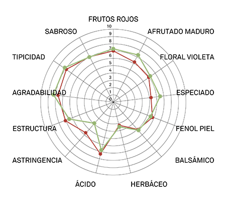 perfil arómatico aglianico vcr