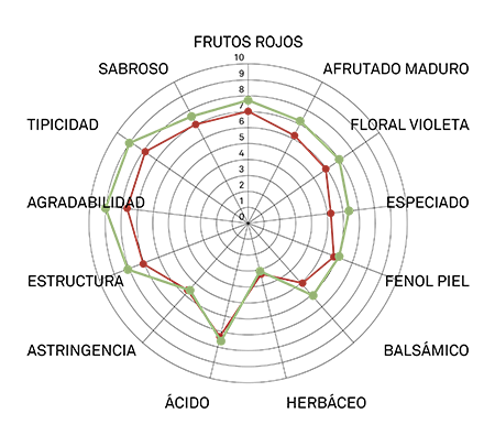 perfil arómatico aglianico vcr