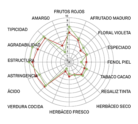 perfil arómatico ancellotta vcr