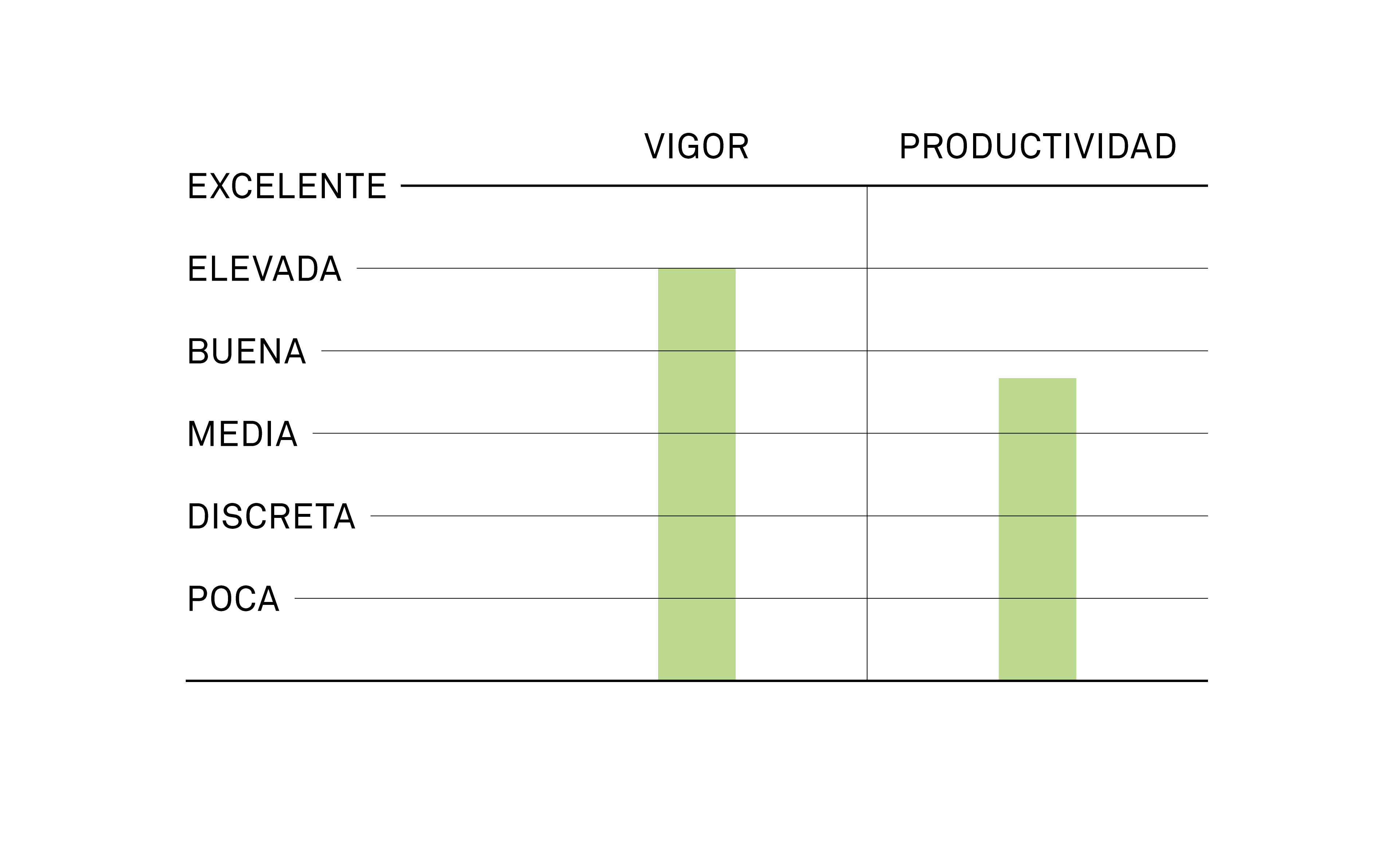 productividad flurtai