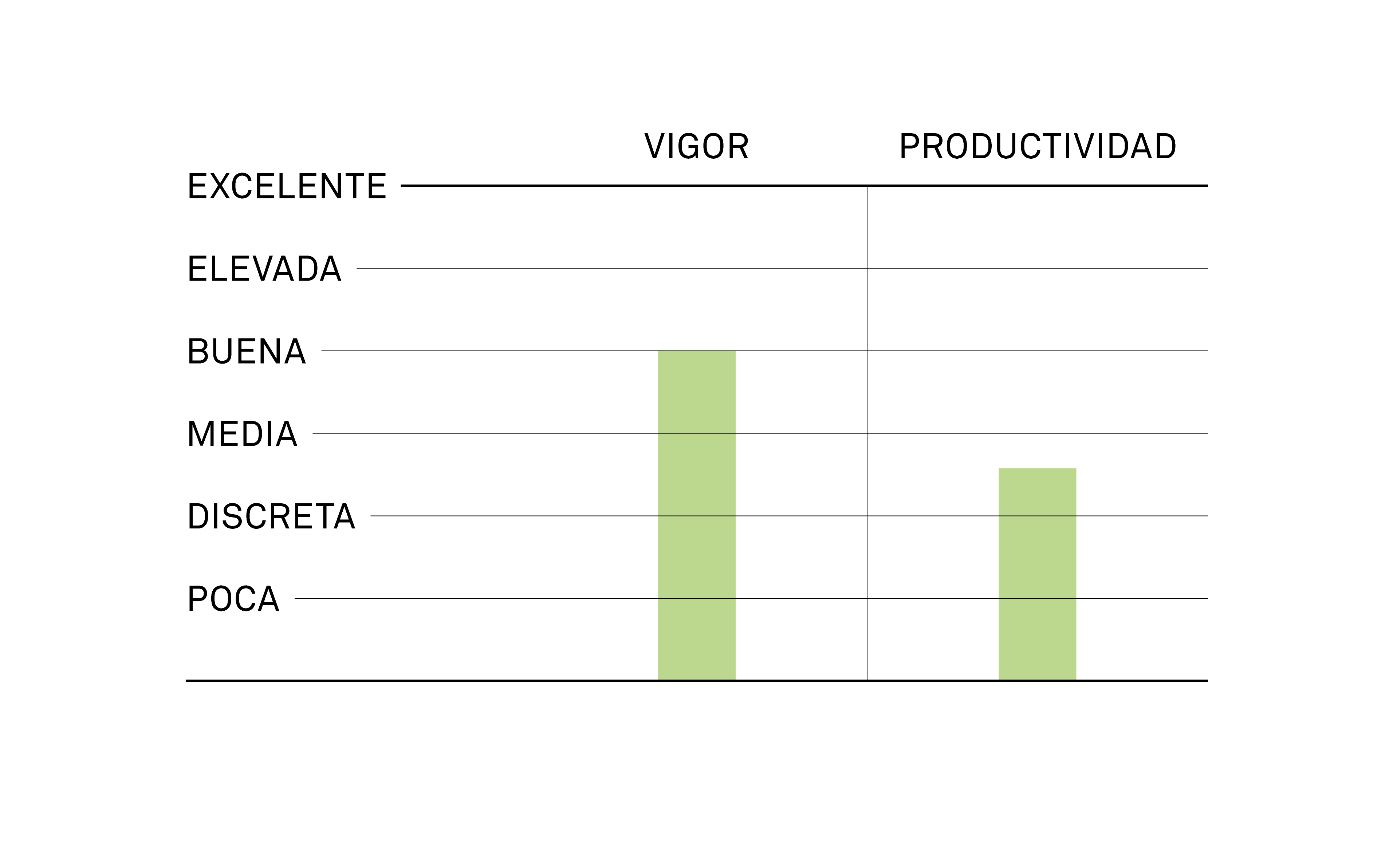 productividad sauvignon nepis