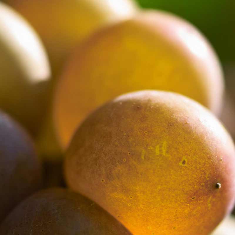 Acini d'uva visti da molto vicino